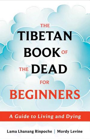 The Tibetan Book of the Dead for Beginners