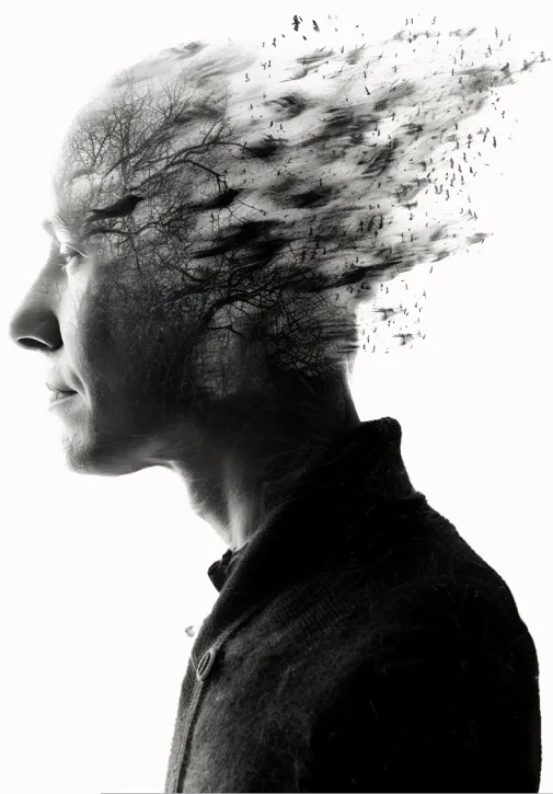 Silhouette dissolving into oneness